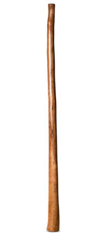 CrookedStixz Didgeridoo (AH379)
